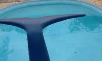 Imagem 2: Aluga Casa em Condomínio no Urbanova com Piscina e Churrasqueira R$ 6.700,00 REF: CA0233