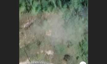 Imagem 4: ARQUITETO FAZENDA REAL