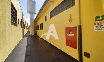 Imagem 6: Aluguel Casa CENTRO