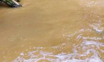 Imagem 7: Belíssimo sítio 3 alqueires em São Bento de URÂNIA ES