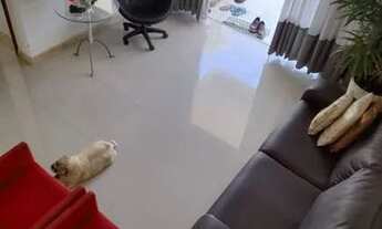 Imagem 6: Miragem casa para locação. Com 4/4