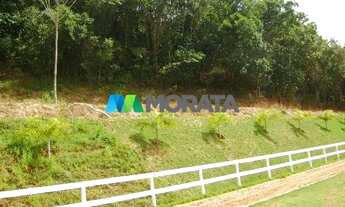 Imagem 4: MATEUS LEME - Fazenda - Zona Rural