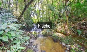 Imagem 3: Sítio em SJP-PR com 36.663.00 m2