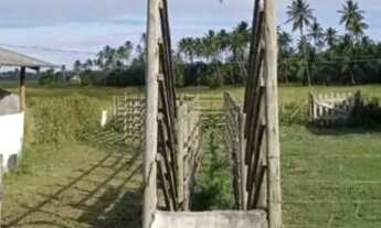 Imagem 7: FAZENDA RURAL em CAMAÇARI - BA, AREIAS (ABRANTES