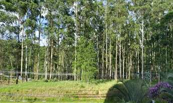 Imagem 5: Resort Tamboré 133 m2 Alphaville SP