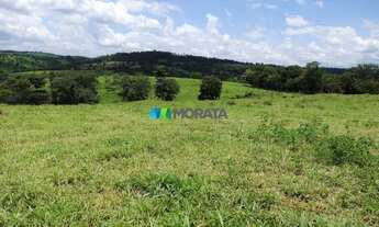 Imagem 2: NOVA SERRANA - Fazenda - Zona Rural