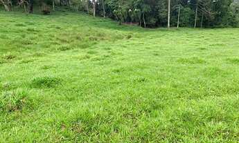 Imagem 3: Lf- Vende-se terreno em ótima região