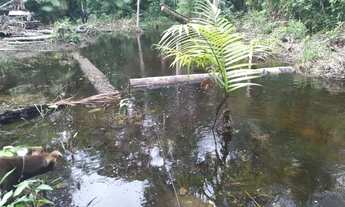 Imagem 3: Vende-se chácara na vila sororó