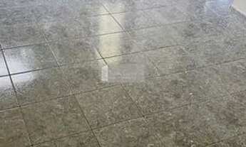 Imagem 2: Apartamento ALUGANDO 2 Qtos, 60m² - Cordovil