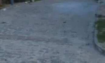 Imagem 5: Vende-se casa Casa com 2 dormitórios