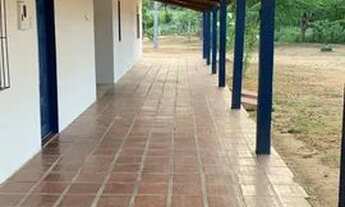 Imagem 5: Fazenda com 2.200 tarefas = 6.655.000 m2 na zona rural de - Araci - BA