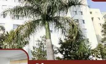 Imagem: SÃO PAULO - APARTAMENTO PADRÃO - CASA