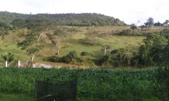 Imagem 5: Fazendinha Chácara com venda por R$185.000