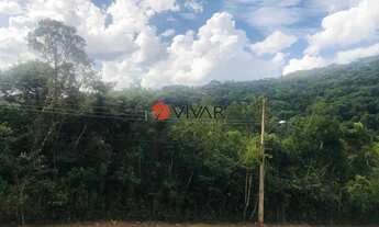 Imagem 6: NOVA LIMA - Loteamento/Condomínio - Arvoredo