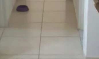 Imagem 3: Repasse de ap Apartamento com 2 dormitórios