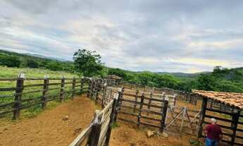 Imagem 2: FAZENDA À 22KM DE ITABERABA - 2415 TAREFAS