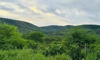 Imagem 5: FAZENDA À 22KM DE ITABERABA - 2415 TAREFAS