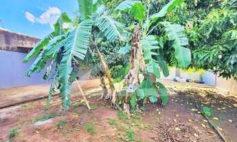 Imagem 16: Casa térrea para venda e locação no Bairro Parque Residencial Cândido Portinari, próximo a