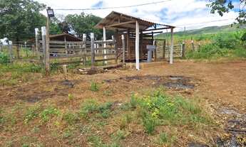 Imagem 2: Sitio na estrada da produção !