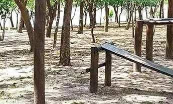 Imagem 3: Terreno-em-Condominio-para-Venda-em-Condominio-Golden-Park-Residence-Mirassol-SP