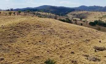 Imagem 4: Fazenda de 70 alqueires em Pontalina go