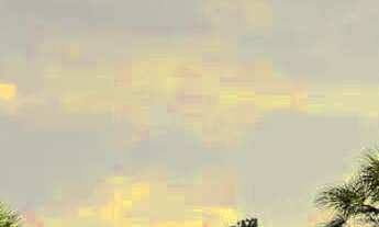 Imagem 4: Casa - Bairro das Palmeiras - Campinas