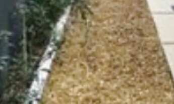 Imagem 7: Loft mobiliado próximo ao T1