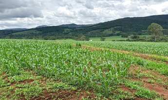 Imagem 4: TERRENO 2HC SERRA AZUL IGARAPÉ/MATEUS LEME