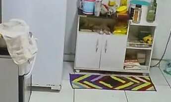 Imagem 5: Vendo casa no centro, ao lado da escola salesiano