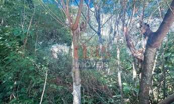 Imagem 5: Terreno à venda, 615 m² por R$ 1.200.000 - Piratininga - Niterói/RJ - TE1082