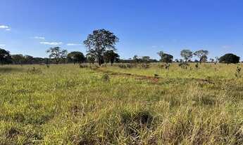 Imagem 2: Fazenda em campina verde 90% lavoura serve
