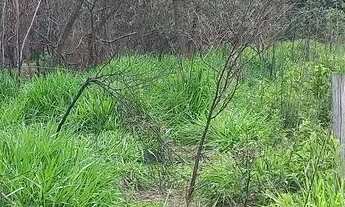 Imagem 2: CHÁCARAS com 1000mts perto de BH, 2x = R$10.000,00 mais parcelas