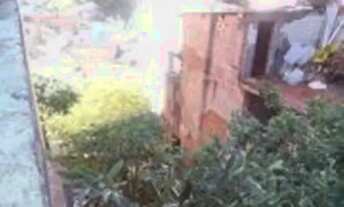 Imagem 6: Terreno à venda - no Sumarezinho