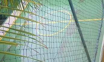 Imagem 4: Aluguel Apartamento 3/4 (1 Suíte) + Dependência Completa 150 m² Pituba