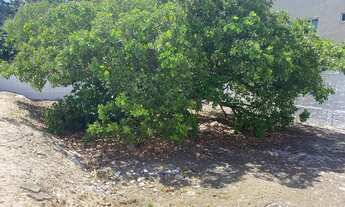 Imagem 6: Vendo Excelente Lote no Loteamento Arquipélago do Sol- Grand Bahamas. Tratar C/ Jackson