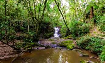 Imagem 4: Cachoeira Privativa e Potencial Hídrico: 370.261 m² para quem enxerga além do comum a 12
