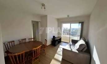 Imagem 2: Locação de Apartamentos / Padrão na cidade de São Carlos