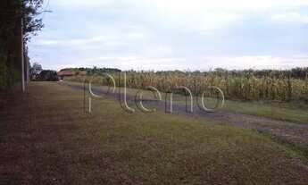 Imagem 5: Sítio à venda em Campinas, Área Rural de Campinas, com 3 quartos, com 50000 m²