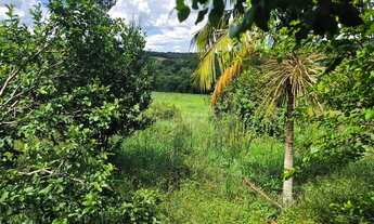 Imagem 4: Terreno em ibiuna