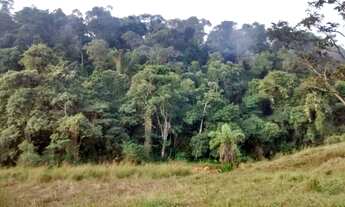 Imagem 7: Procurando sossego? Ótimo terreno para sítio perto de BH