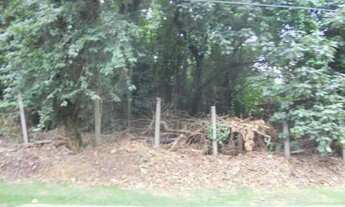 Imagem 6: Granja Viana, Granja Santa Maria, Carapicuíba