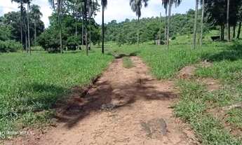 Imagem 3: Fazenda à Venda em Bom Jardim de Goiás 80 Alqueires Ideal para Pecuária