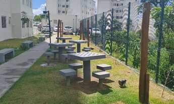 Imagem 6: Alugo lindo apartamento 2/4 no condomínio Jardim Primavera(Nova Brasília