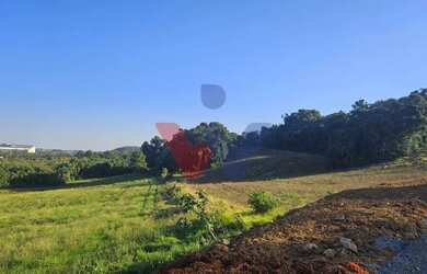 Imagem 3: Área Industrial em Araucária 73.306m Frente PR-423 com Potencial para Galpões