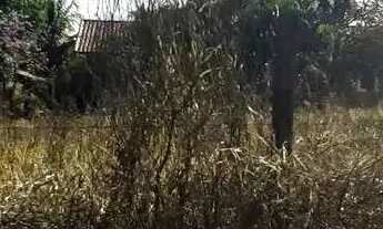 Imagem 5: Lote em Luiza Alfredo - Vista Alegre - São Pedro/SP