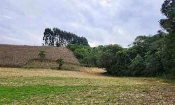 Imagem: Chácara com 6,1 alqueires Marmeleiro