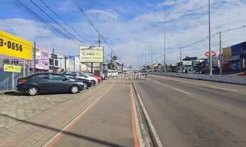 Imagem 4: Terreno comercial à venda em Pinhais