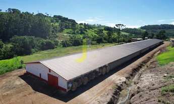 Imagem 2: Sítio com 2 Aviários a venda