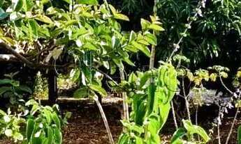 Imagem 4: Terreno à venda em Valinhos, Parque Terranova, com 569 m²