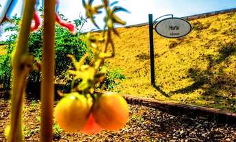 Imagem 9: Terreno à venda, 612 m² por R$ 661.762,50 - Residencial Arboretum - Vinhedo/SP